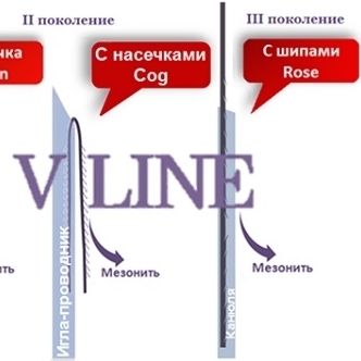 Эволюция мезонитей с насечками Эволюция мезонитей с насечками