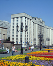 Законы по пластике необходимо пересмотреть Законы по пластике необходимо пересмотреть