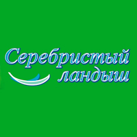 «Серебристый ландыш-2015» «Серебристый ландыш-2015»