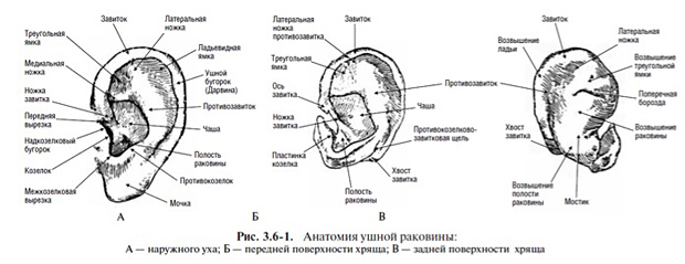 q2web.jpg q2web.jpg