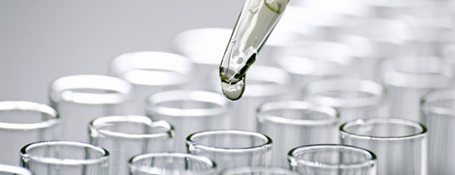 Исследования in vitro Исследования in vitro