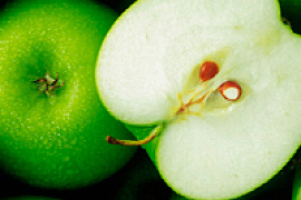 Яблоки против лишнего веса