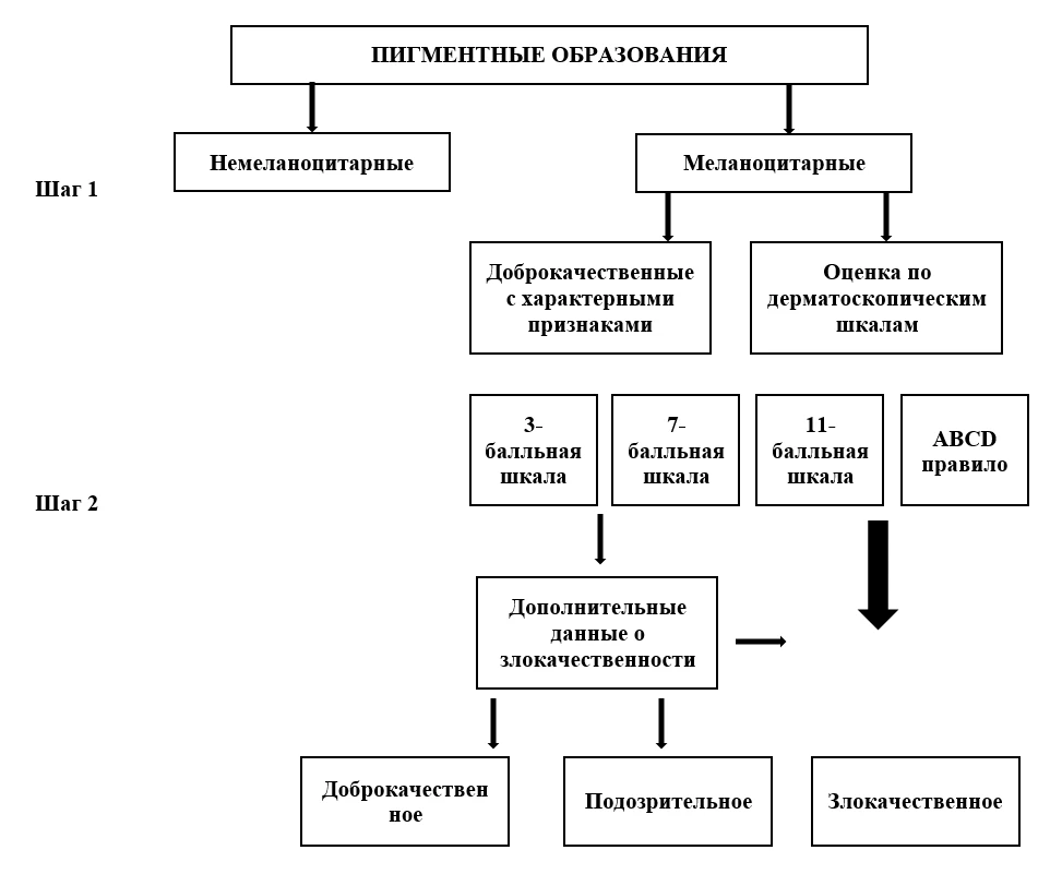 Алгоритм оценки дерматоскопического изображения