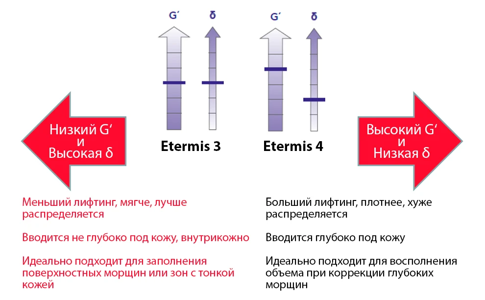 Сравнение филлеров Etermis