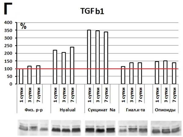 Hyalual, Результаты исследования