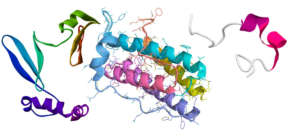 Грелин-обестатин-лептин