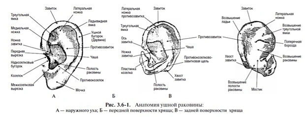 q2web.jpg