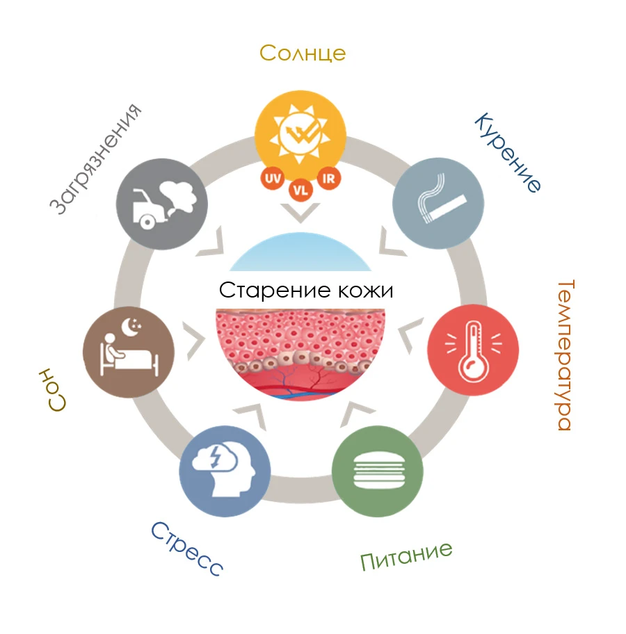 Внешние факторы, усиливающие старение