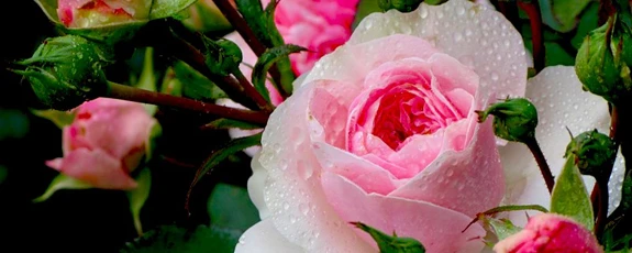 Для установления равновесия и гармонии