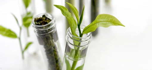 Натуральная косметика