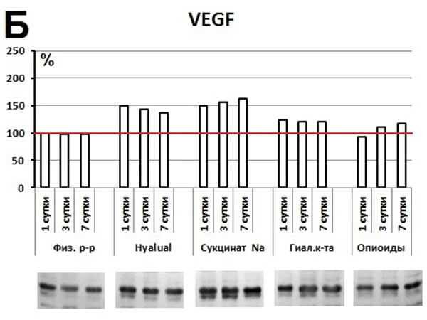 Hyalual, Результаты исследования