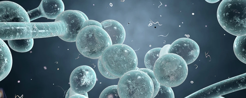 Пептиды, акне