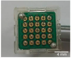 Горизонтальные срезы ткани бычьей печени ex vivo