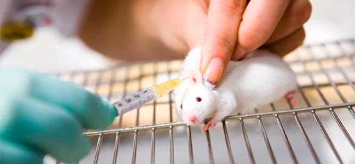 Этичная косметика