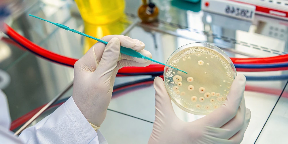 Бактериофаги