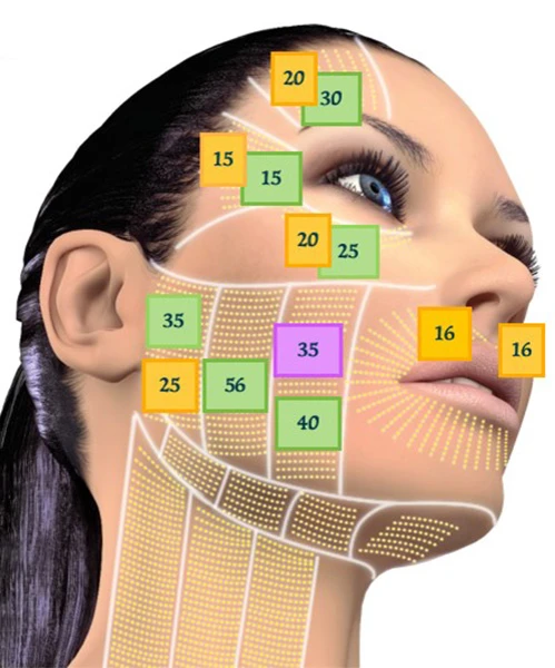 Диагностическая визуализация щёчной, периоральной и периорбитальной зон