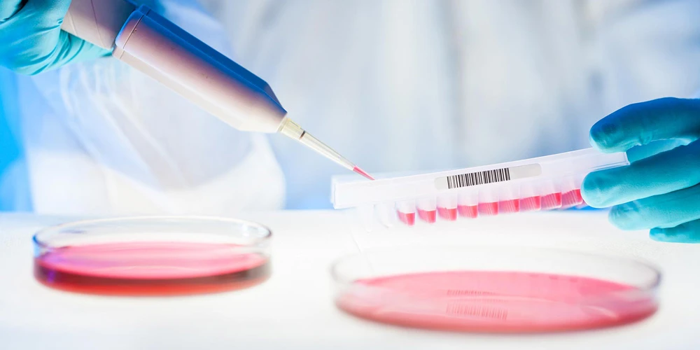 Стволовые клетки