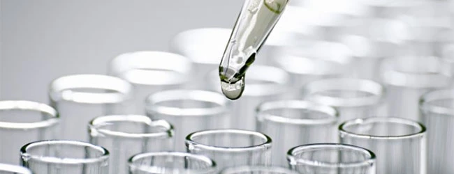 Исследования in vitro