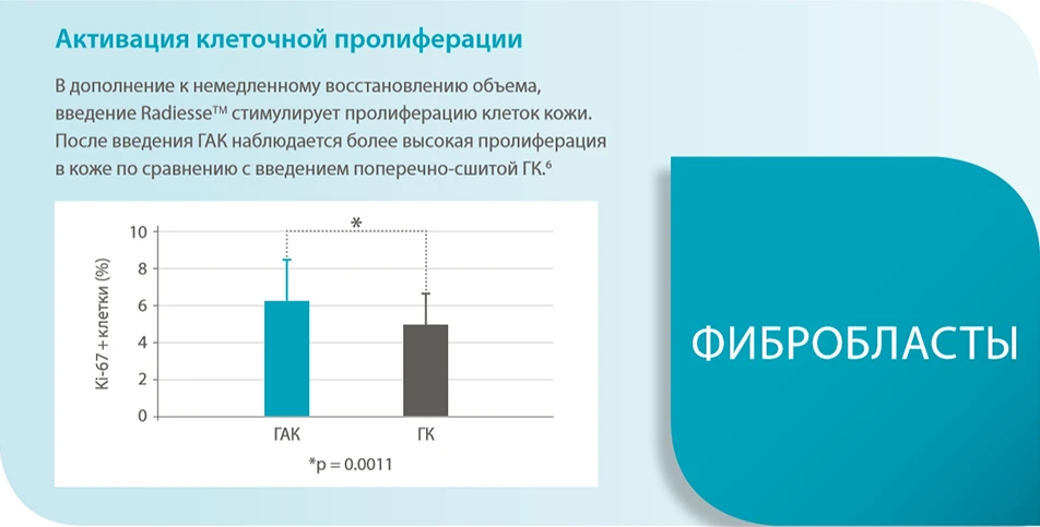 Фибробласты
