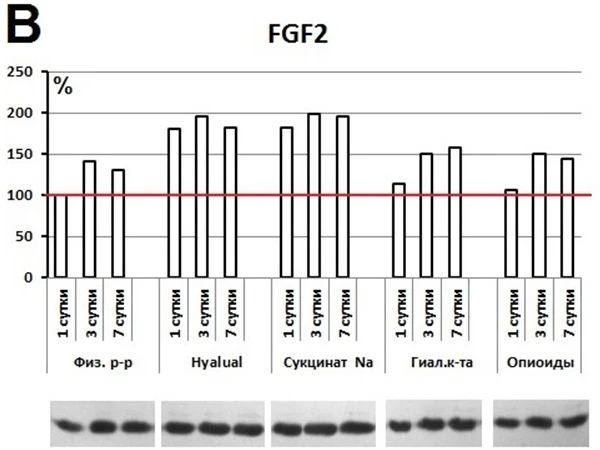 Hyalual, Результаты исследования