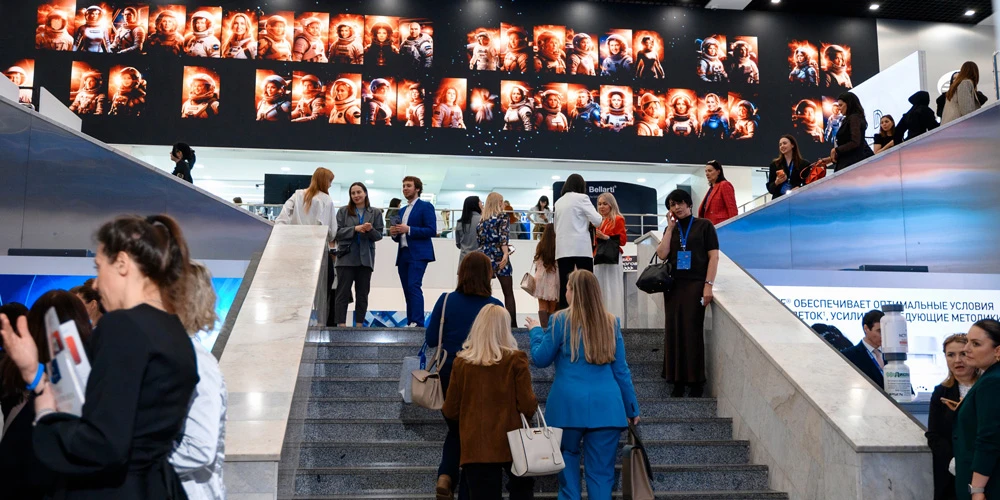 Про Эйджлесс — 2026