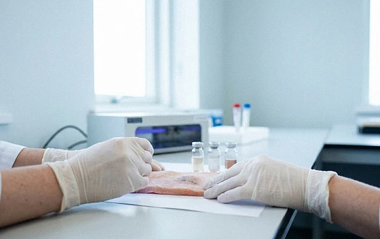 Пептиды тунца уменьшали признаки фотостарения и образование меланина после УФ-В облучения
