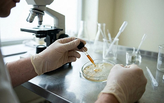 Компоненты эфирного масла корицы нарушали прикрепление C. acnes и формирование биопленки