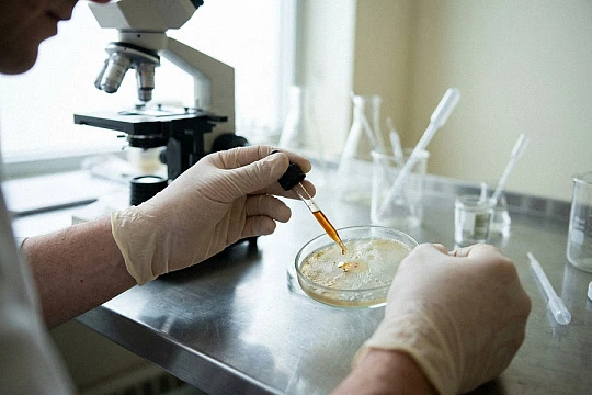 Компоненты эфирного масла корицы нарушали прикрепление C. acnes и формирование биопленки