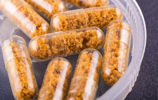 Фекальную микробиоту используют для лечения меланомы