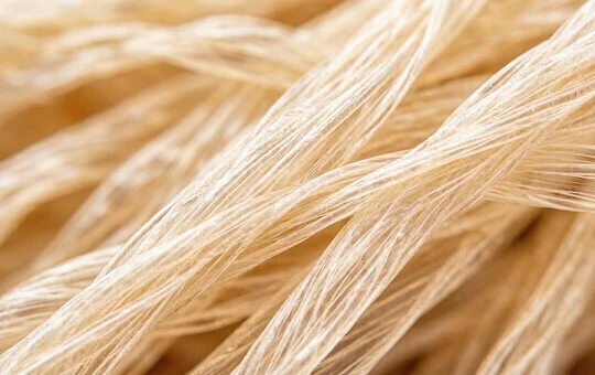 Корейцы критикуют применение трупных тканей в эстетической продукции