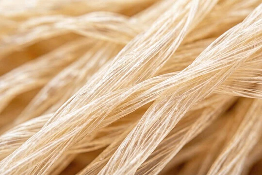 Корейцы критикуют применение трупных тканей в эстетической продукции