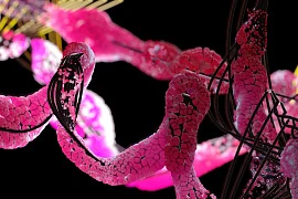 Аминокислоты против старения