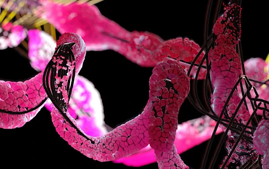 Аминокислоты против старения