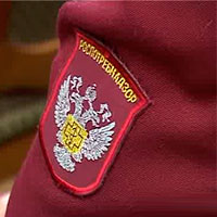 Проверка в клинике Проверка в клинике