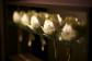 SIAM SPA Luxury