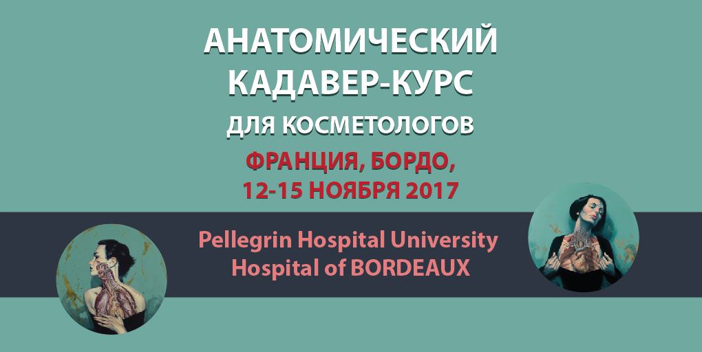 Диссекционный курс «Практическая анатомия в эстетической медицине» для косметологов всех уровней подготовки Диссекционный курс «Практическая анатомия в эстетической медицине» для косметологов всех уровней подготовки