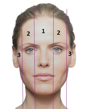 Ксеомин, разделение лица на сегменты