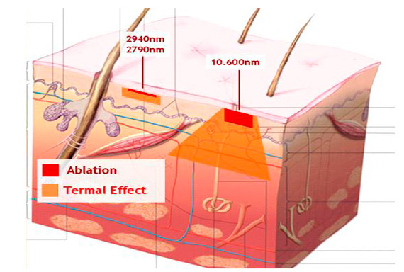 Карманчиков Владимир Сергеевич