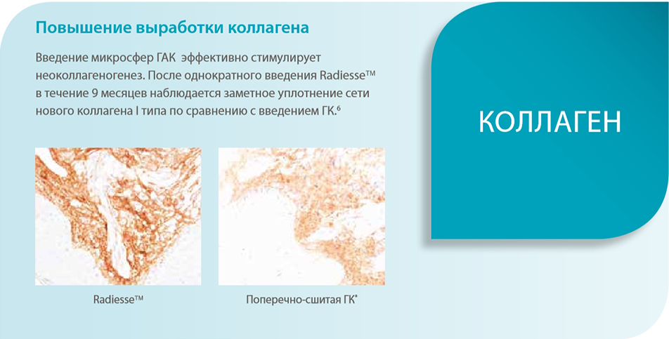 Коллаген