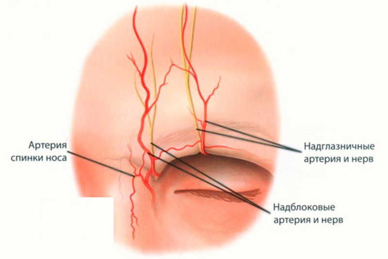Мужская косметология Neauvia