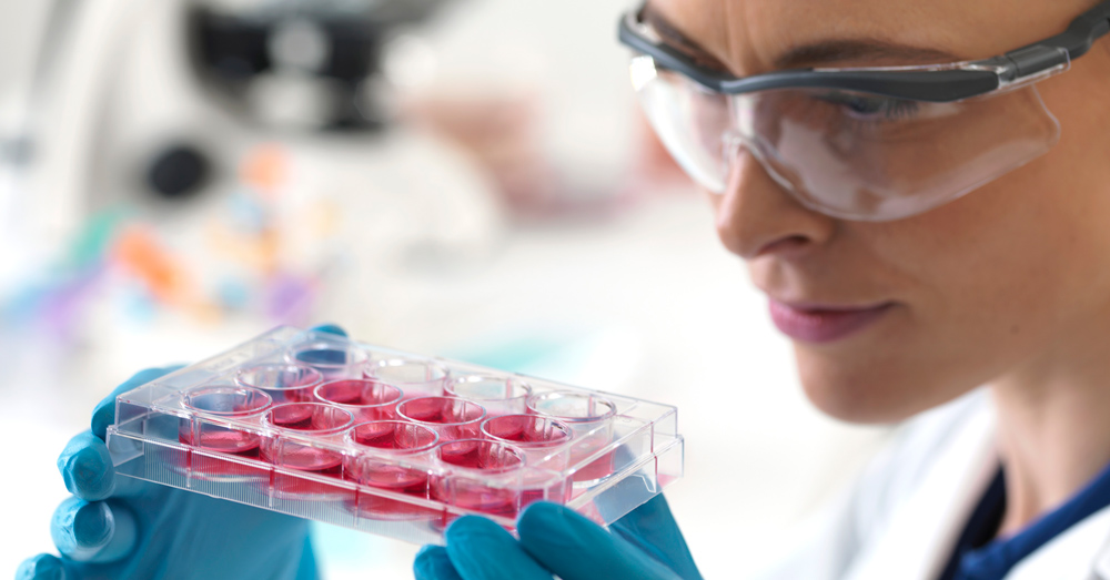 Стволовые клетки и белковые функции кожи