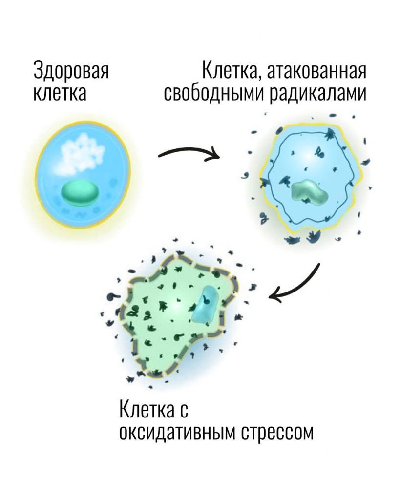 Что происходит с кожей летом