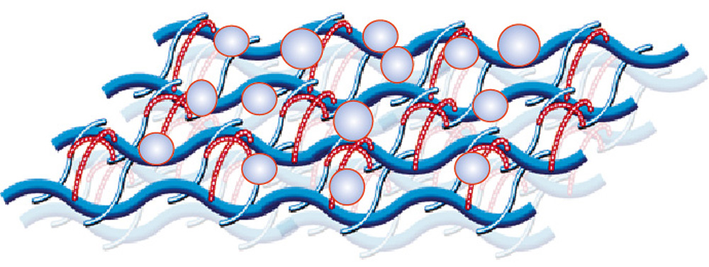 Bio-expander