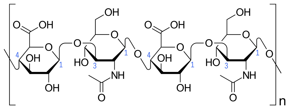 Гиалуроновая кислота