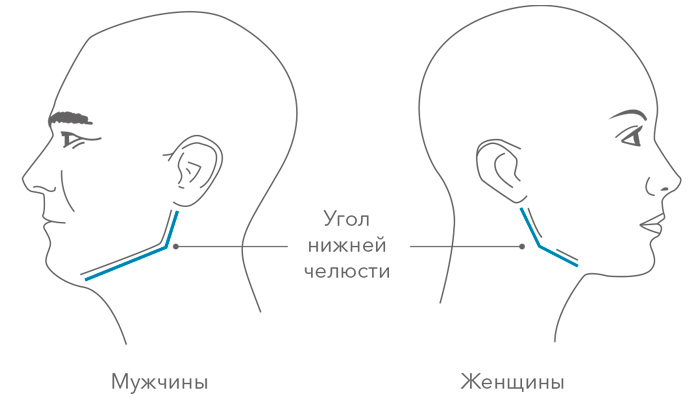 Точки молодости на лице схема