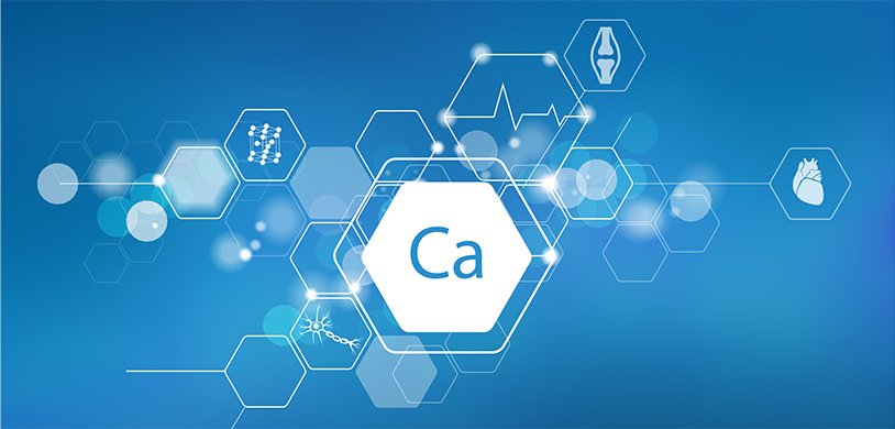 Как кальций влияет на кожу. calciy. Как кальций влияет на кожу фото. Как кальций влияет на кожу-calciy. картинка Как кальций влияет на кожу. картинка calciy