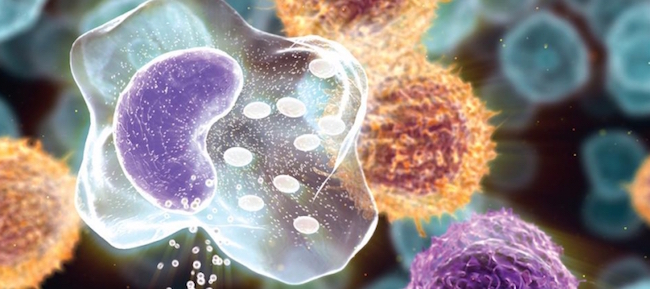 1351893359_cytokine.jpg 1351893359_cytokine.jpg