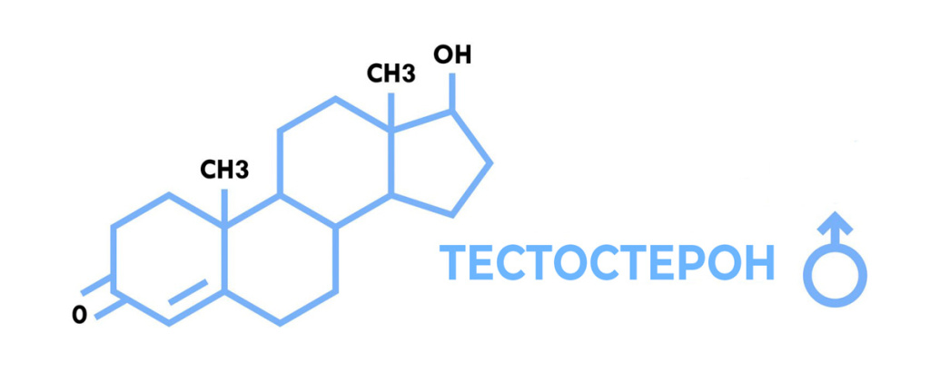 Тестостерон