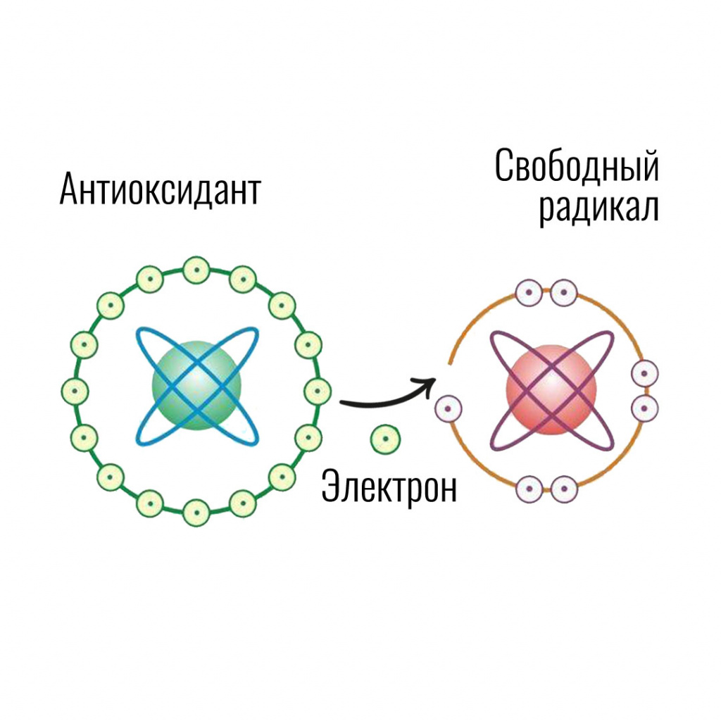 Что происходит с кожей летом