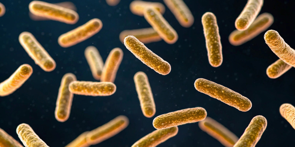 Обзор зарубежных научных публикаций об акне в 2023 году